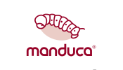 Manduca