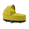 Mustard Yellow
