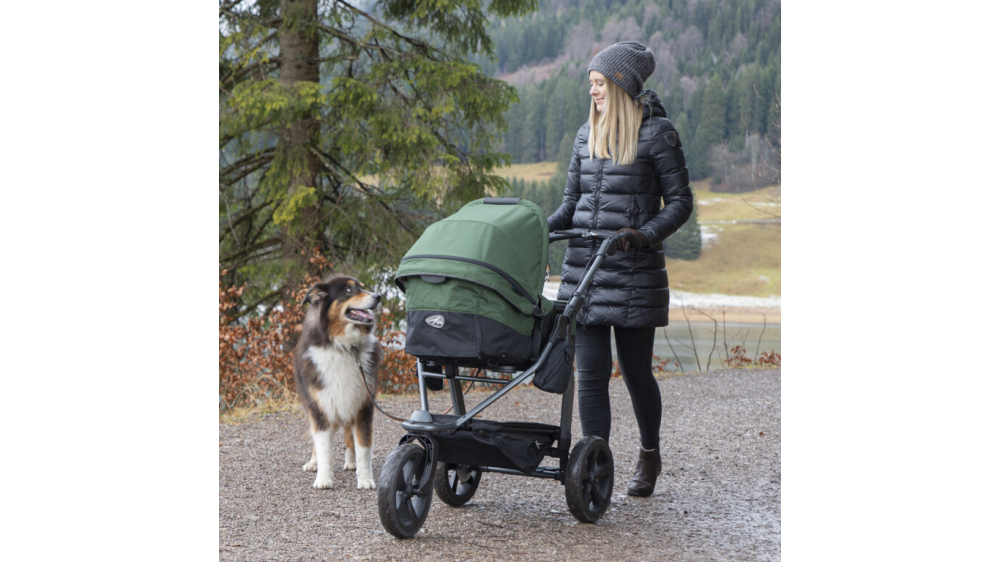 TFK carrycot Mono combi