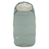 Explorer sea green flying