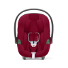 Dynamic Red