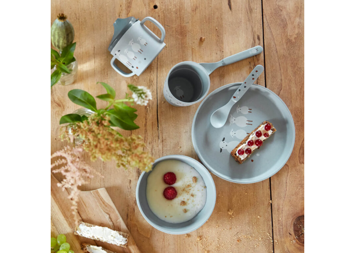 Dish Set PP/Cellulose ilustrační foto setu