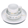 Dish Set Porcelain Garden Explorer boys