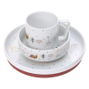 Dish Set Porcelain Garden Explorer girls