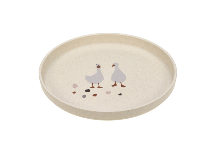 Plate PP/Cellulose